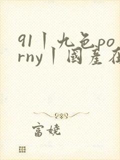 91丨九色porny丨国产在线