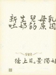 新生儿母乳喂养吐奶的原因及解决办法