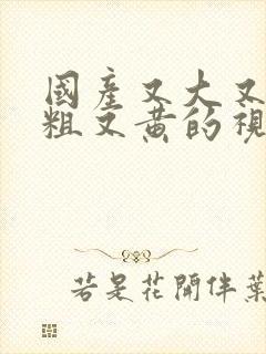 国产又大又猛又粗又黄的视频