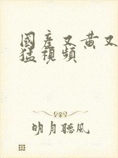 国产又黄又粗又猛视频