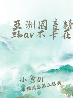 亚洲国产精品日韩av不卡在线