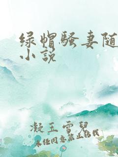 绿帽骚妻随便干小说