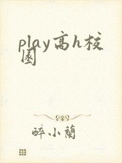 play高h校园