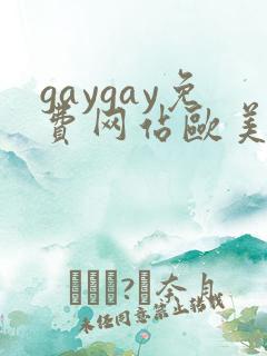 gaygay免费网站欧美
