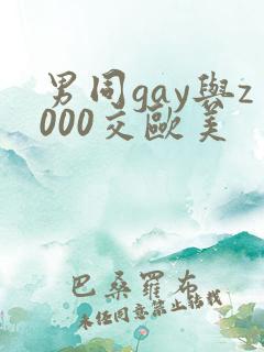 男同gay与z000交欧美