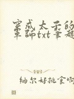 穿成太子的竹马军师txt笔趣阁