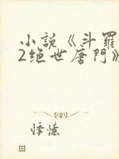 小说《斗罗大陆2绝世唐门》