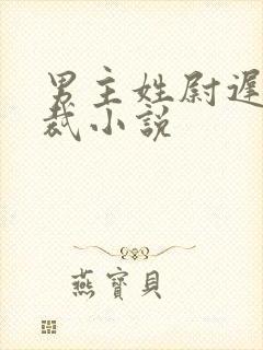 男主姓尉迟的总裁小说