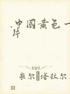 .中国黄色一级片