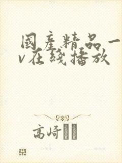 国产精品一级av在线播放