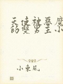 天使被恶魔囚禁的双男主小说