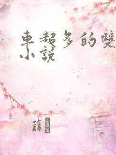 车超多的双男主小说