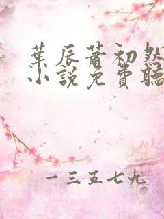 叶辰萧初然有声小说免费听