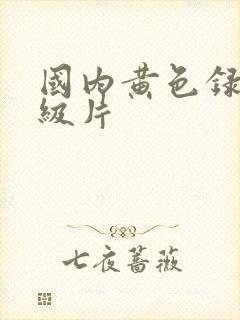 国内黄色录像一级片