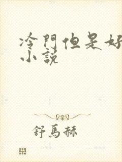 冷门但是好看的小说