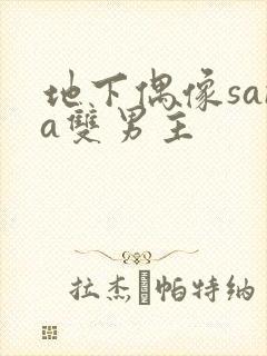 地下偶像sana双男主