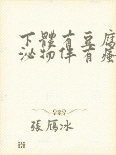 下体有豆腐渣分泌物伴有瘙痒用啥药