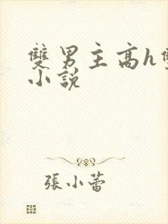 双男主高h双性小说