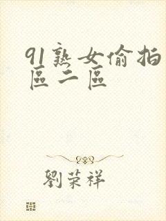 91熟女偷拍一区二区