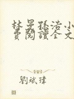 林曼孙浩小说免费阅读全文最新章节