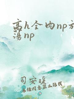 高h全肉np放荡np