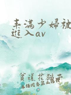 丰满少妇被猛烈进入av