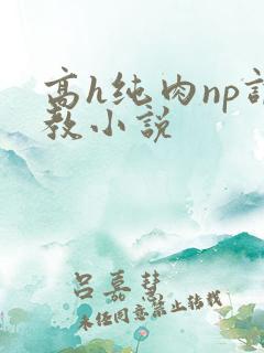 高h纯肉np调教小说