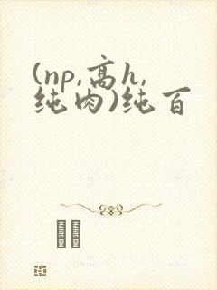 (np,高h,纯肉)纯百