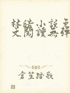 林皓小说免费全文阅读无弹窗