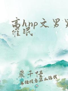 高hnp文男男催眠