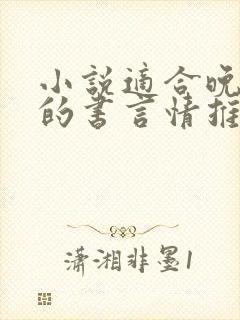 小说适合晚上看的书言情推荐