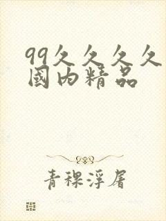 99久久久久久国内精品