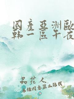 国产亚洲欧美日韩一区午夜电影