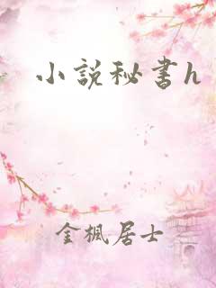 小说秘书h