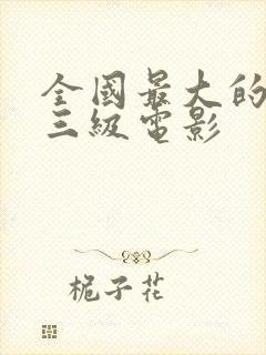 全国最大的成人三级电影