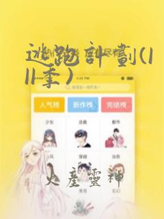 逃跑计划(I II季)：结局+番外