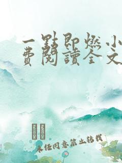 一点即燃小说免费阅读全文无弹窗