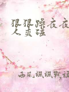 狠狠躁夜夜躁人人爽碰