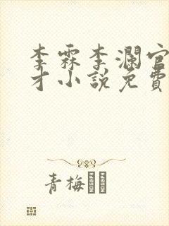 李霖李澜官场奇才小说免费阅读