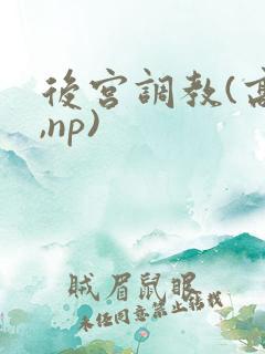 后宫调教(高h,np)