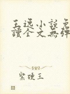 王逸小说免费阅读全文无弹窗