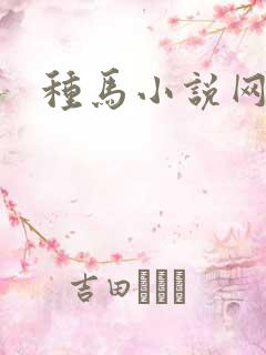 种马小说网