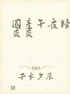 国产午夜精品爽爽爽