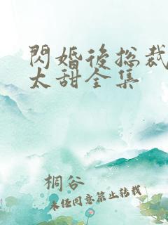 闪婚后总裁娇妻太甜全集