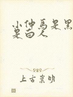 小仲马是黑人还是白人