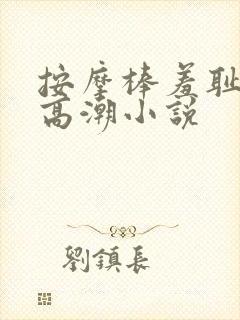 按摩棒羞耻调教高潮小说