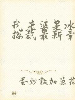 我老婆是冰山女总裁最新章节阅读