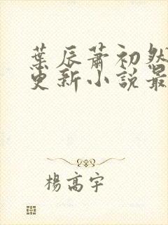 叶辰萧初然最快更新小说最新