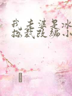 我老婆是冰山女总裁改编小说