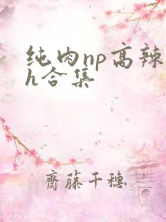 纯肉np高辣文h合集